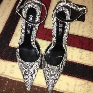 Colin Stuart heels